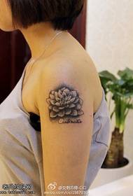 Patrón de tatuaxe de loto de brazo feminino
