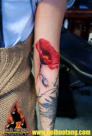 Arm red poppy tattoo pattern