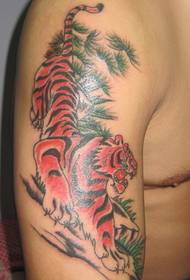 Arm down the mountain tiger tattoo pattern - 蚌埠 tattoo show picture Xixia tattoo recommended