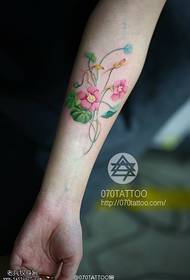 Arm pure pink morning glory tattoo pattern