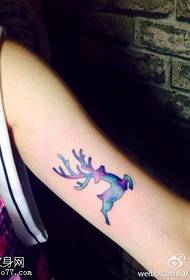 Arm color starry antelope tattoo