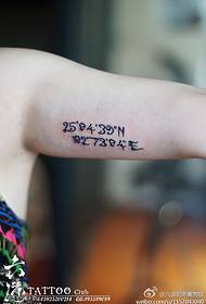 Ultra-smooth geographic coordinates tattoo pattern