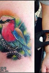 Arm color parrot tattoo pattern