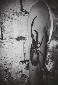 Pojedinačna tetovaža na ruci insekata