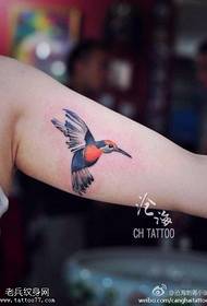Arm color hummingbird tattoo picture