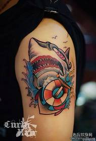Rokas krāsas haizivs tetovējuma attēls
