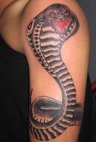 Arm python tattoo pattern - 蚌埠 tattoo show picture, Xia Yi tattoo recommended