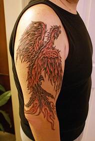 Arm classic good looking phoenix tattoo