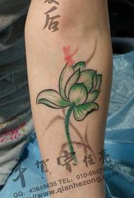 Arm color ink painting lotus tattoo pattern