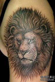 Man tattoo pattern: arm lion lion head tattoo pattern
