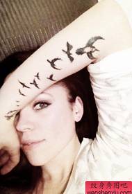 Woman arm swallow tattoo work