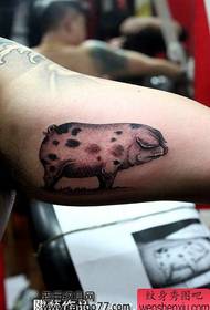 Unha tatuaxe alternativa de porco de brazo