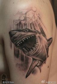 Tattoo show, recommend an arm shark tattoo