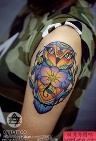 Woman arm colored owl tattoo work shared by Tattoo Hall
