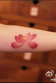 Mostra di tatuaggi, cunsigliate un tatuu di lotus di bracciu