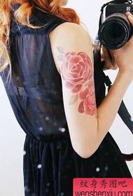 Tattoo show, recommend a woman's arm color rose tattoo works