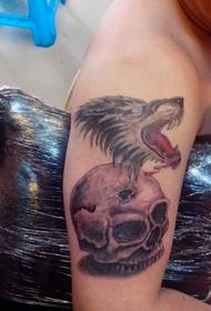 Anqing Cry Tattoo Hall Tattoo Show Picture Works: Arm Wolf Head Tattoo Patroon
