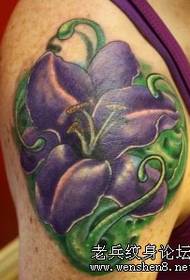 Arm lily tattoo vzorec