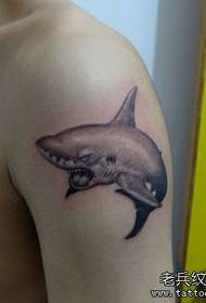 egy szép cápa tetoválás mintát a karon