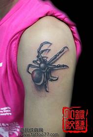 a girl arm spider tattoo pattern