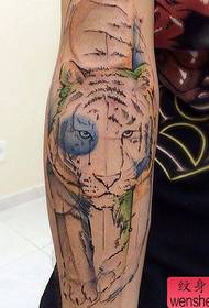 Tattoo Hall preporučuje tetovažu tigrova na ruci