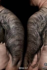 男の腕と肩にクールな象のタトゥーパターン
