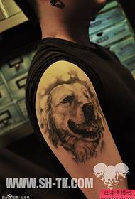 男性胳膊宠物狗纹身图案