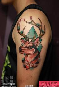 Tattoo show, recommend an arm color antelope tattoo work