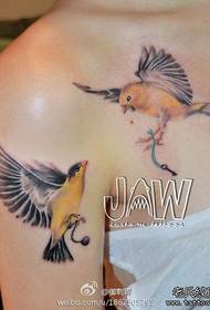 Gražios mergaitės rankos ir krūtinės gražus paukščio tatuiruotės modelis