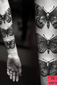 wzór tatuażu motyla ramienia