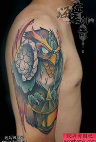 Big-armed color owl tattoos are shared by tattoos