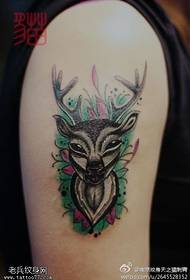 Tattoo show, recommend a big arm color antelope tattoo work