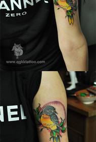 소년 팔 아름다운 세련된 새 문신 패턴