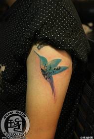 Female arm color hummingbird tattoo pattern