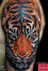 Big-armed color tiger head tattoos are shared by the tattoo hall
