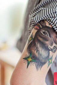 Paže barva antilopy tetování vzor