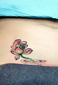 jenter mage vakre populære frihånd lotus tatovering mønster