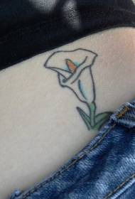 abdominal color simple calla lily tattoo pattern