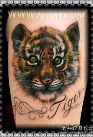 Tiger Tattoo Pattern: Arm Tiger Tattoo Pattern Tattoo Picture