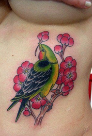 Female Abdomen Color Bird Tattoo Pattern