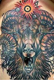 abdominal domineering sheep tattoo picture