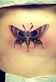 fashion female belly personality moth tattoo pattern picture