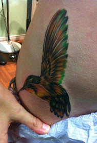 girls Abdomen color small hummingbird tattoo pattern