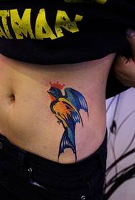 abdomen color personality fashion good-looking swallow tattoo pattern picture