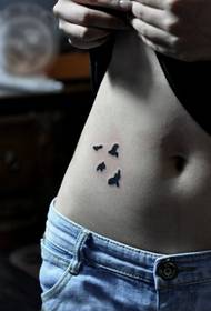 beauty belly simple fashion good-looking pigeon tattoo pattern picture