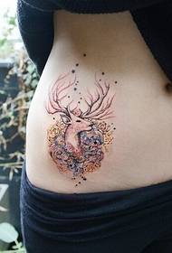 fashion female abdomen fine beautiful color antelope tattoo picture