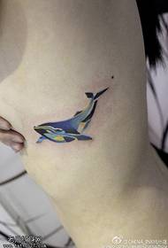 намунаи tattoos delfin тароватбахш