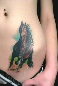 उदर रंग पेंटियम घोडा टॅटू नमुना