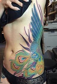 Abdomen painted a phoenix tattoo pattern