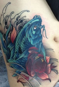 modello di tatuaggio di bellezza pancia bella calamari colore